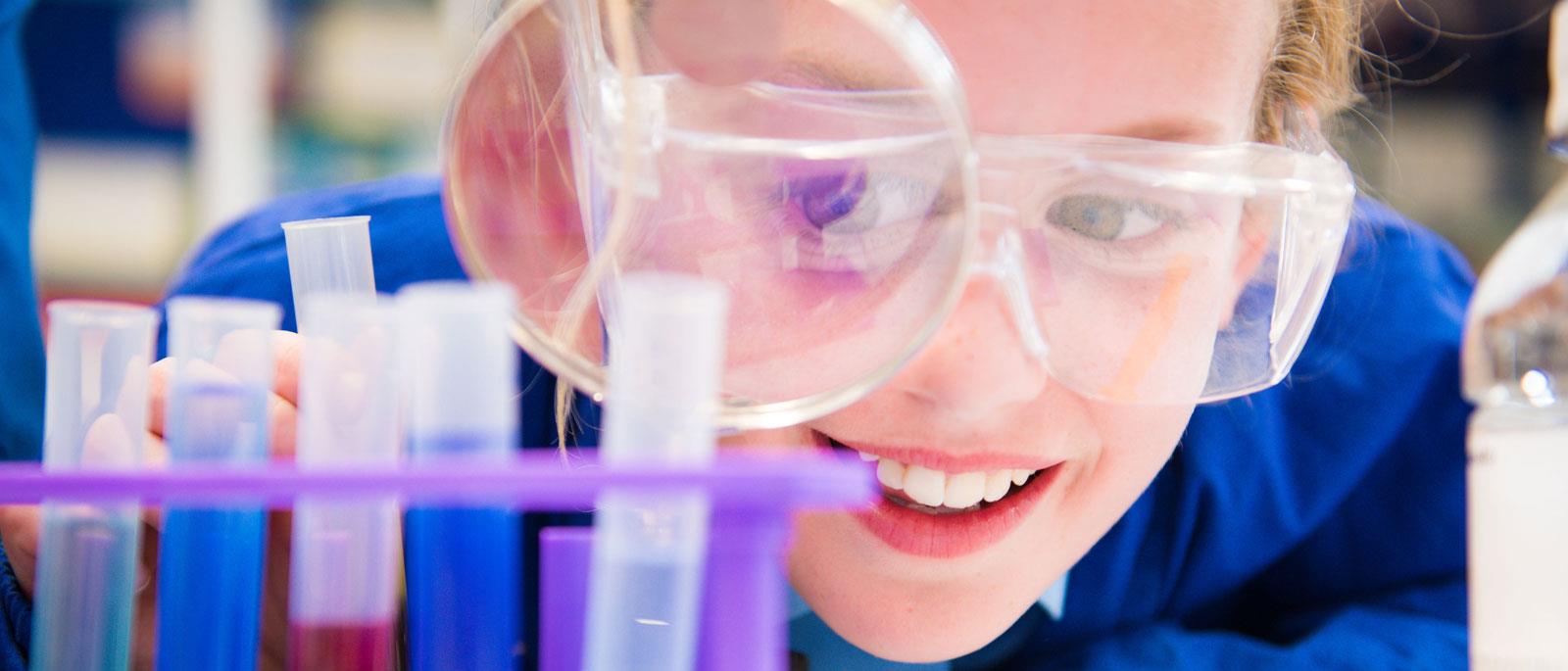 Curriculum at Coworth Flexlands